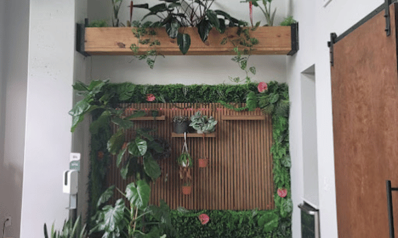 A project by Handyman Atlanta building indoor greenery and room design.