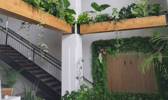 A project by Handyman Atlanta building indoor greenery and room design.