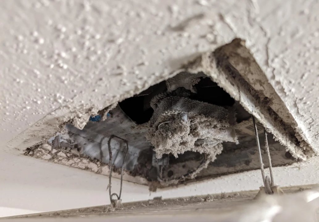 Dust buildup inside a bathroom exhaust fan